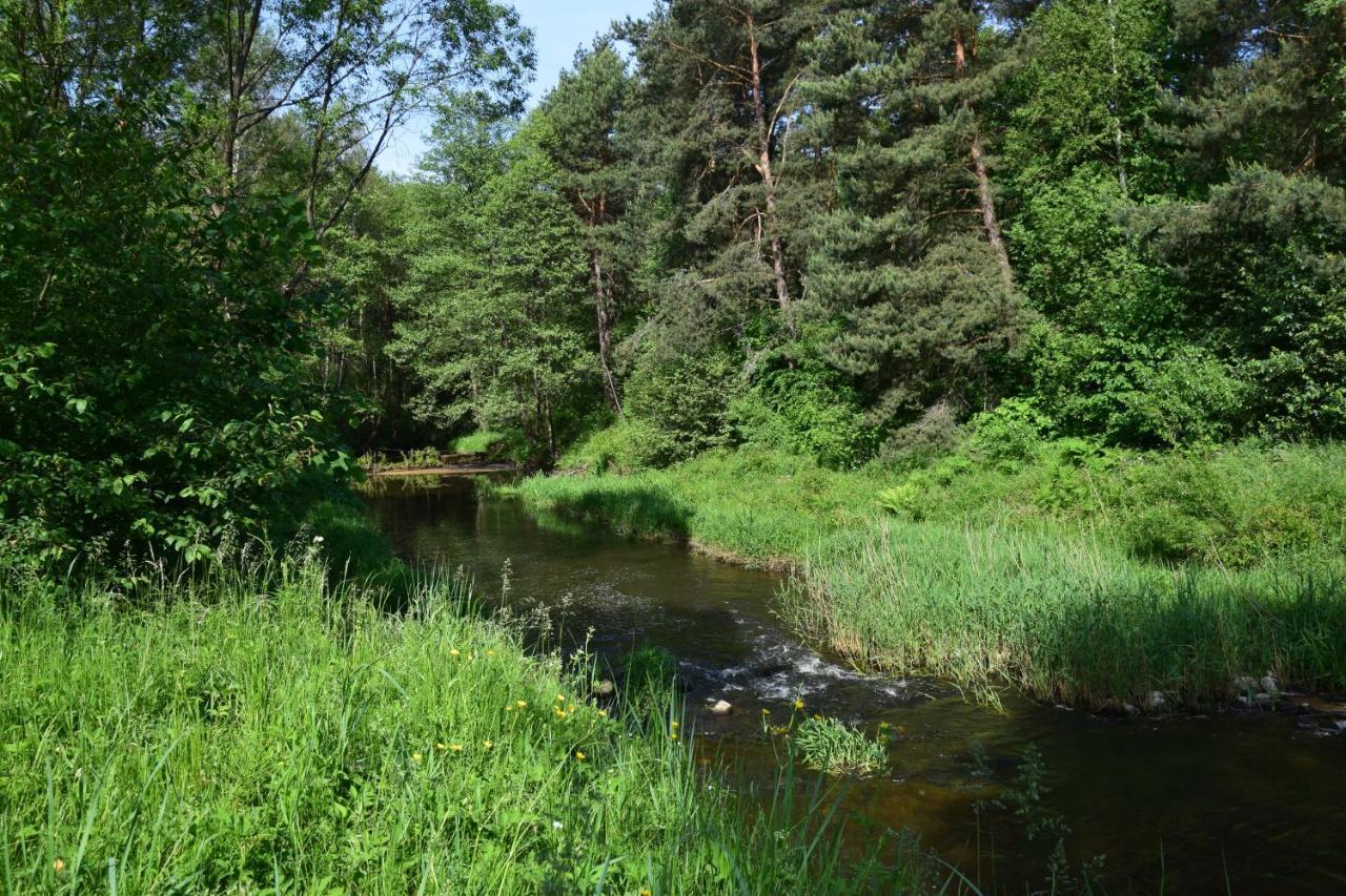 Stary Janów - pensjonat Staporkow Zewnętrze zdjęcie