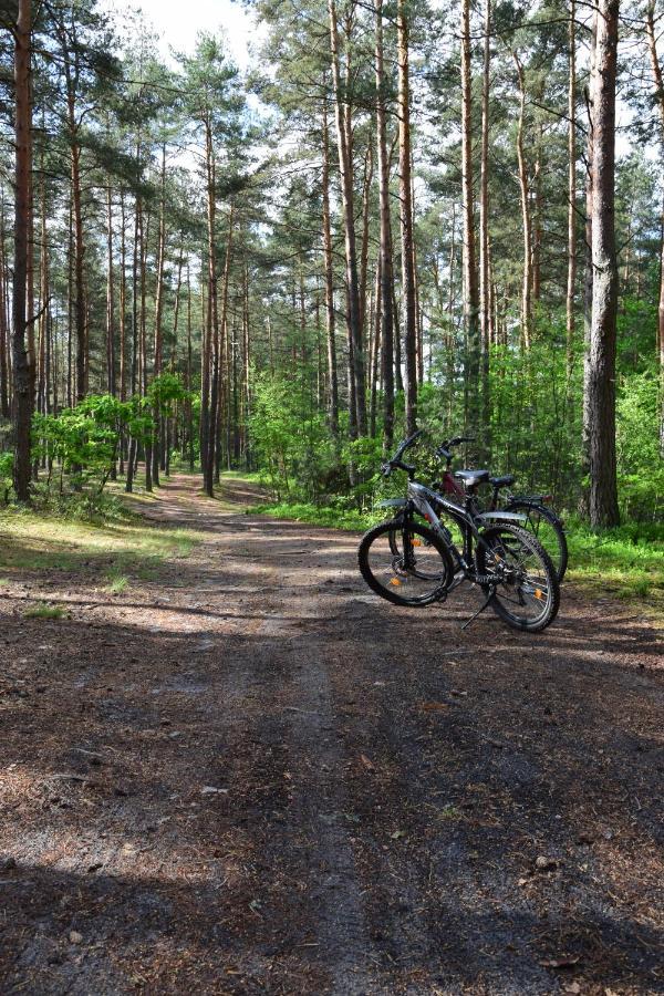 Stary Janów - pensjonat Staporkow Zewnętrze zdjęcie